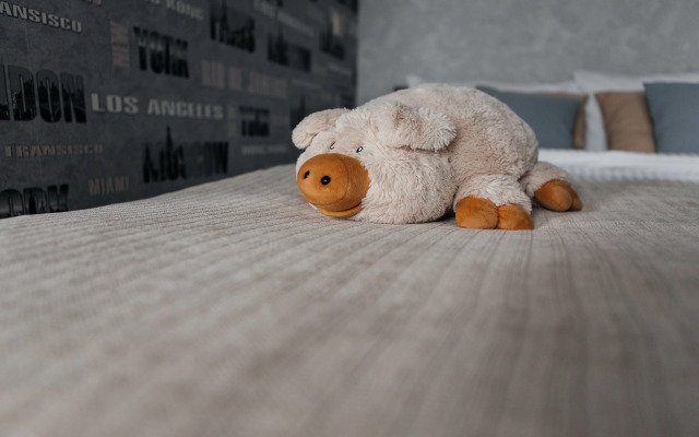 Квартира Студия у моста