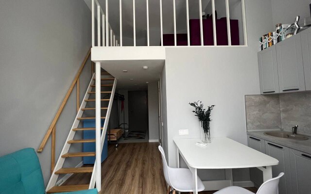 Apartamenty Knapweed U Metro Baumanskaya