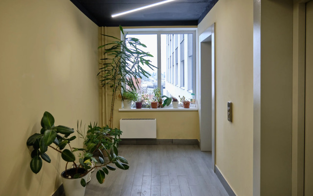 Rentpplaza Okolo Tsentralnogo Parka V Zhk Geometriya Apartments