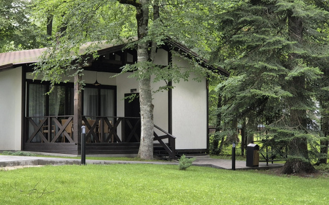 Dacha Apartments