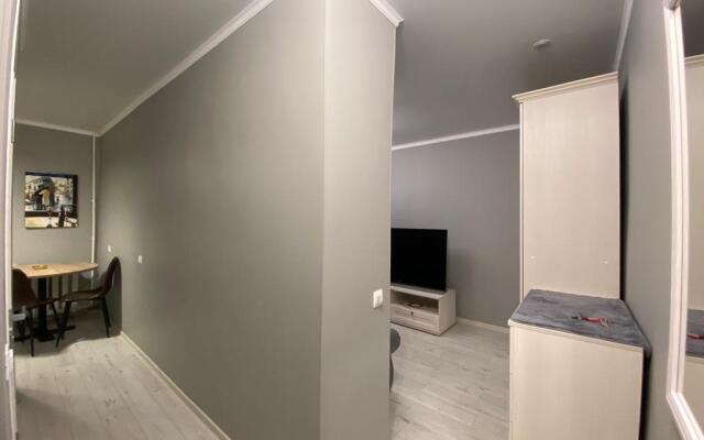 Апартаменты в Центре Района Амалиенау