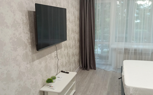 Uyutnaya Dvushka V Tsentre Flat