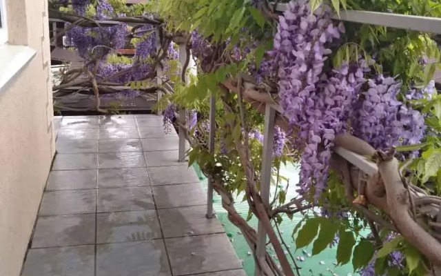 Akbal Ahau Guest House