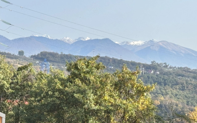 Частный дом у леса