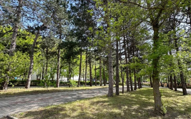 Atelika Teshebs Guest House