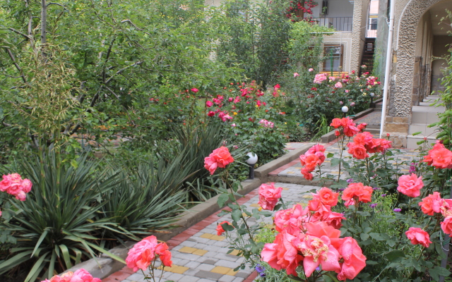 Elena Guest House