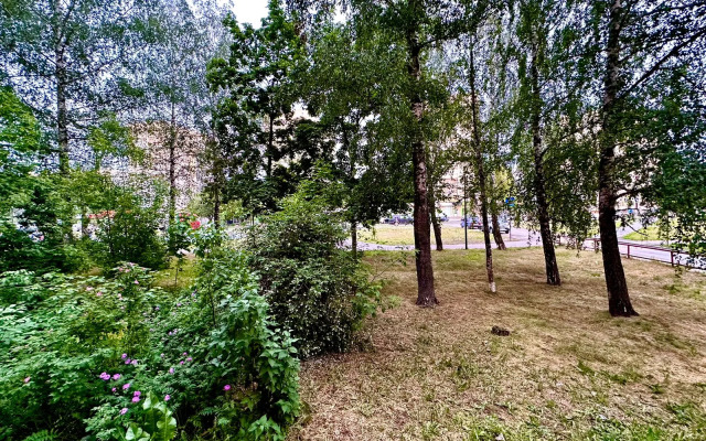 Uyutnaya Na Stankozavodskoy Flat