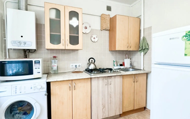 Апартаменты Центр Города Двухкомнатные под Каштанами Ленинский Пр-т 8