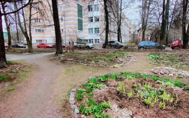 Апартаменты Тишина в центре