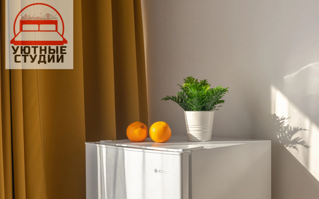 Уютная студия 3 на улице Фастовская