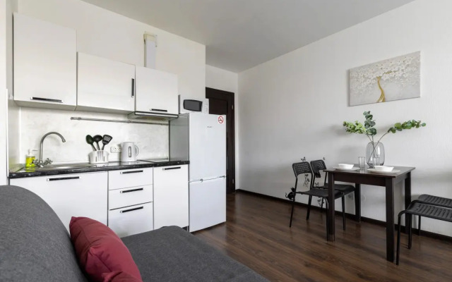 Апартаменты Студия метро Ладожская