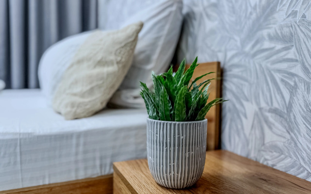 Квартира евро Green FOX в элитном ЖК Сердце Каспия