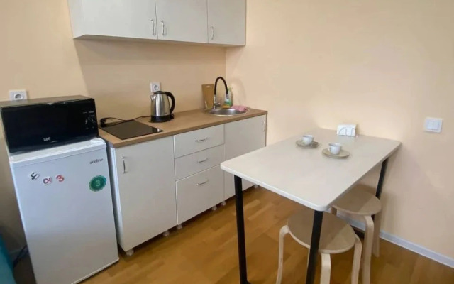 Kazanhouseshare  Apartments 2