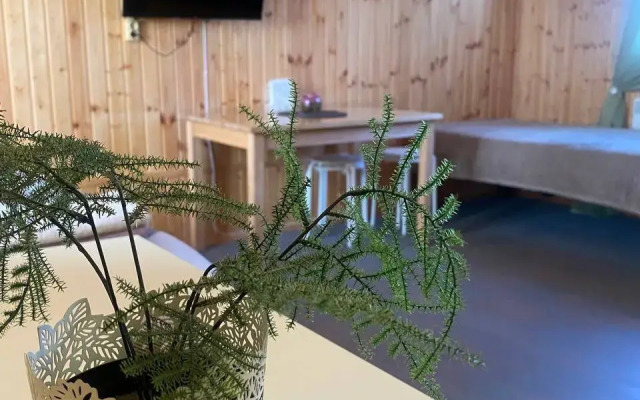 Частный дом на Пограничном переулке 3А (3)