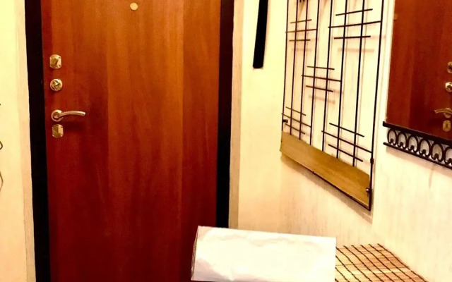 Апартаменты на Боровой 24