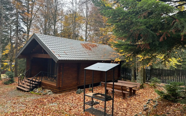 Apartamenty  V Apart-otele Premium dom v Arhyze