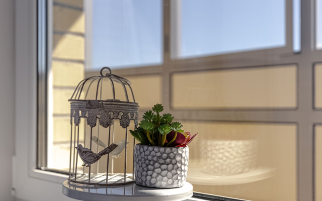 Студия Живи в Песочном Садовая 81