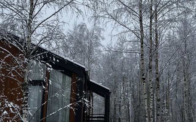 Частный дом в березах