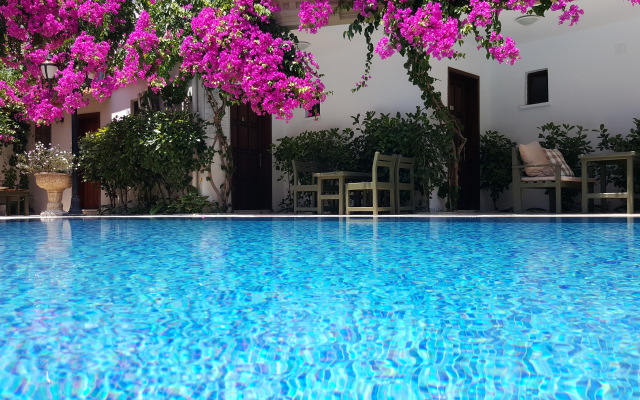 Palme Royal Hotel