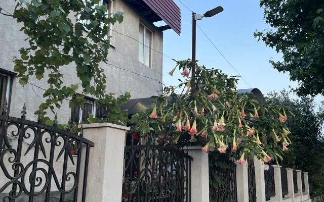 "u Fialy" Guest House