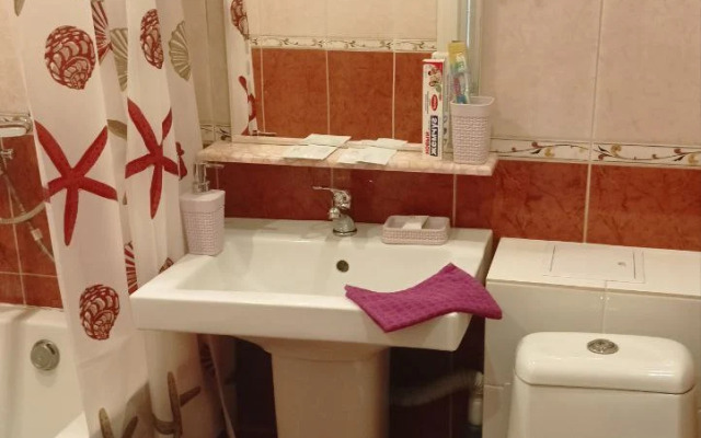 V Tsentre Kaliningrada Flat