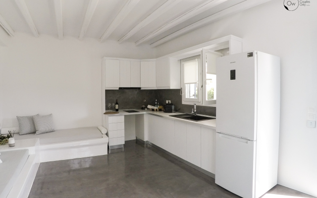 Ow Andros Luxury Suites Villa
