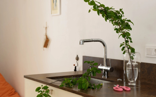 Апартаменты с тремя спальнями на Петроградской стороне