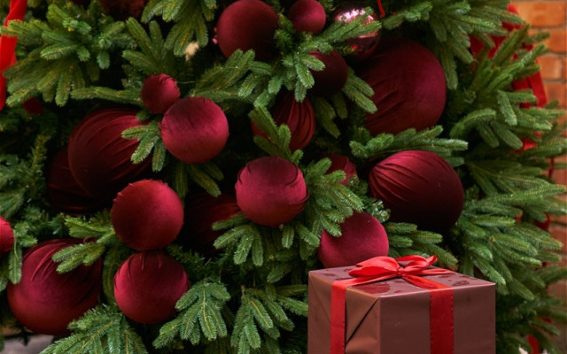 Бутик-Отель Академиа Васильевский