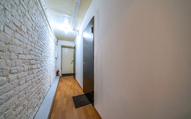 Апартаменты Apartment near Spit of Vasilyevsky Island