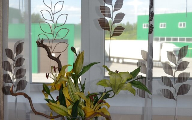 U Petrovicha Mini-Hotel