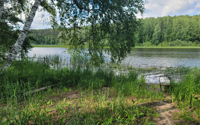 Частный Дом Уютный Трехкомнатный на Природе