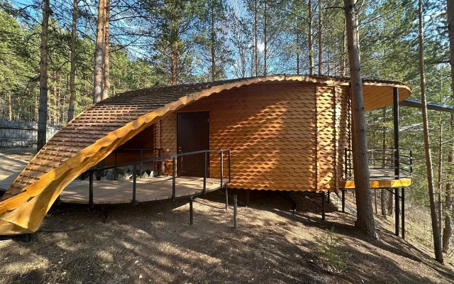 Отель Сорока