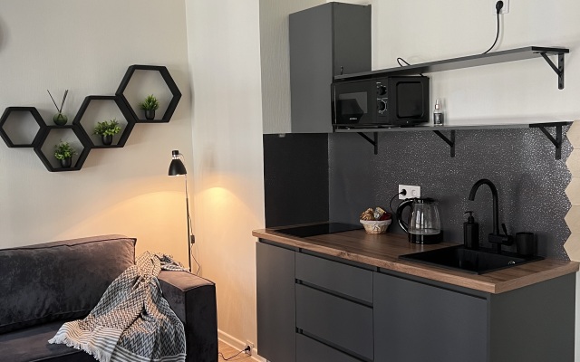 Квартира Студия Лофт в Видном