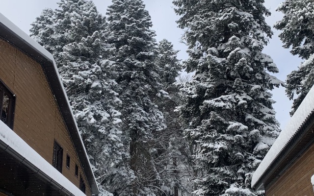 Kyarcha Guest House