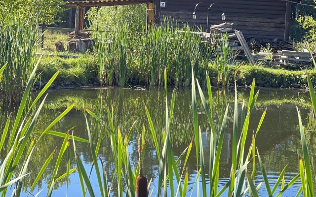 База отдыха Березовка