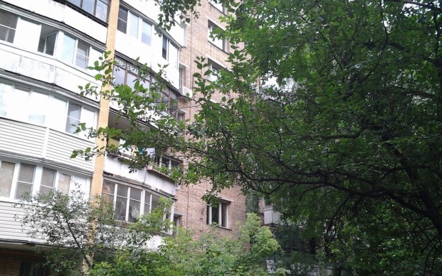 Bol'shaya svetlaya 2K mechty na Dmitrovskoj Flat