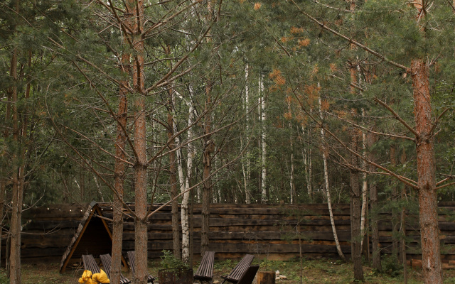 Глэмпинг Forest Tale