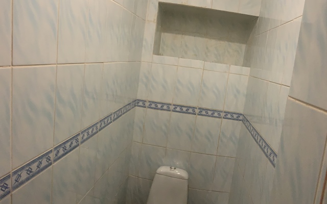 Bolshaya Kvartira Na Oktyabryskoy Apartments