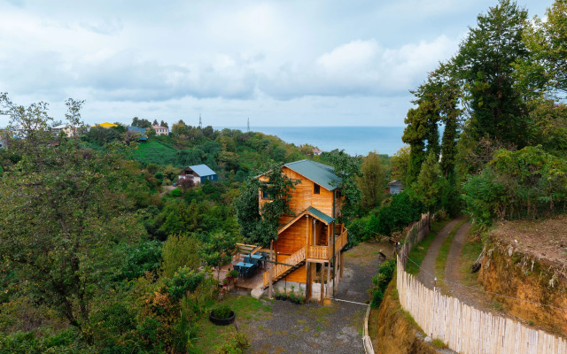 TreeHouse GoldenSeaView TreeHouse Private house