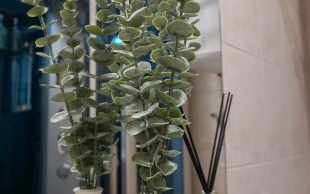 Квартира у Европы