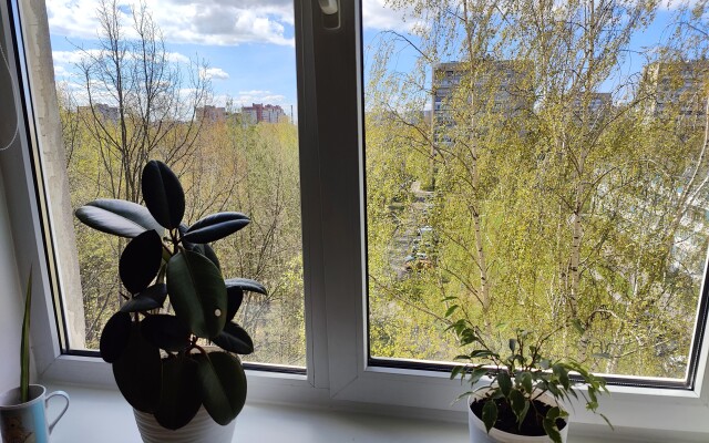 Uyutny Dom Flat