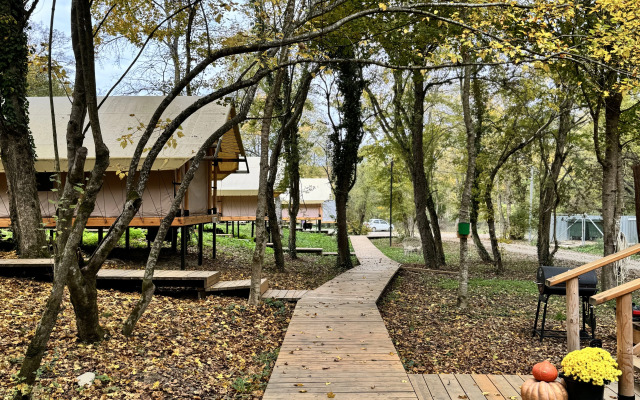 Bely Krolik Glamping
