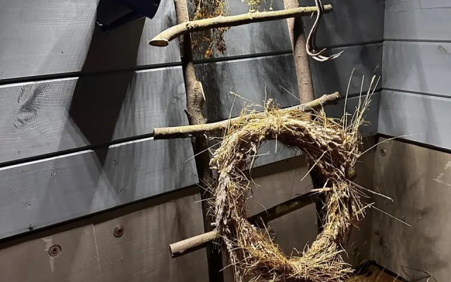 Частный дом АртДача