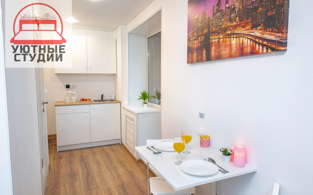 Квартира-студия на Некрасовской