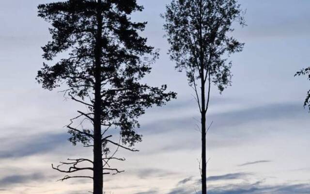 Эко Апартаменты уютные и светлые