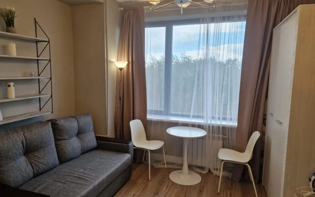 Udobnaya Studiya V Tsentre Apartments