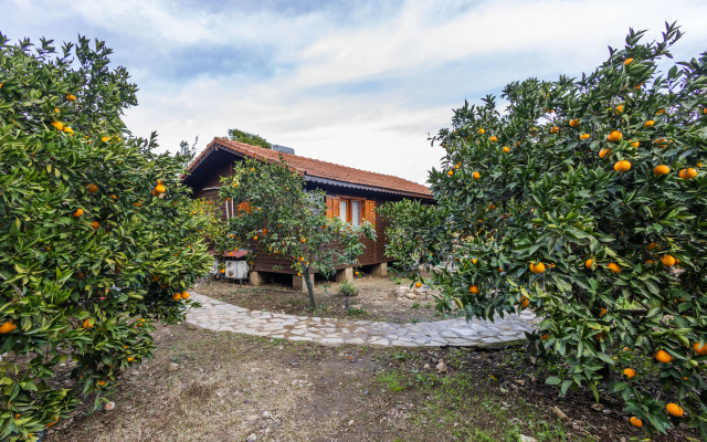 Меблированные комнаты Holiday House dilek çıralı