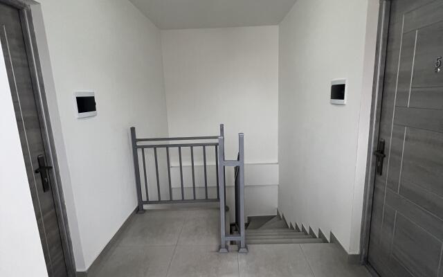 Comfort With Green Refreshing Interior Apartments