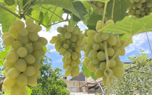 Частный дом National House Derbent