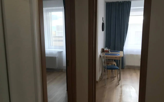 Квартира однокомнатная рядом с НИИ Петрова